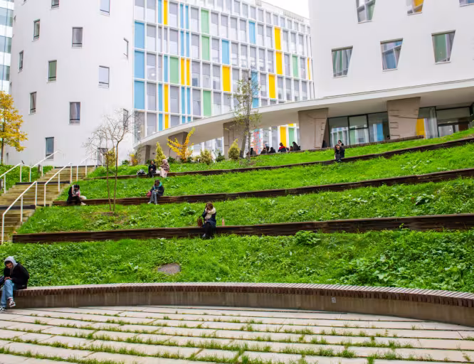 université sorbonne nouvelle